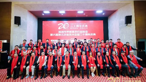 BBIN宝盈集团科技受邀参加深圳市平板显示行业协会（SDIA）第六届第四次理事会、第六届第三次会员大会暨二十周年庆典